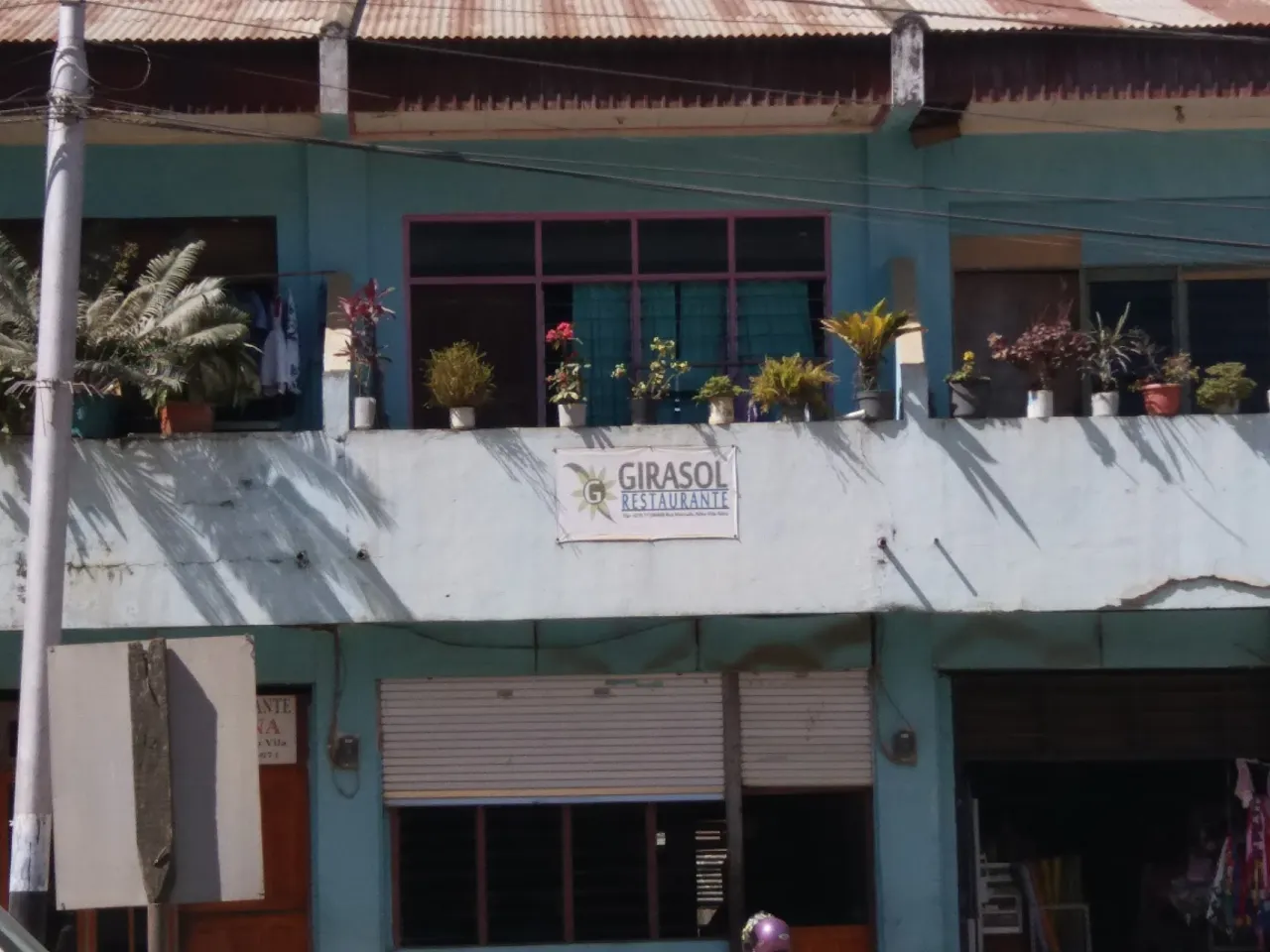 Aisel Girasol Restaurat