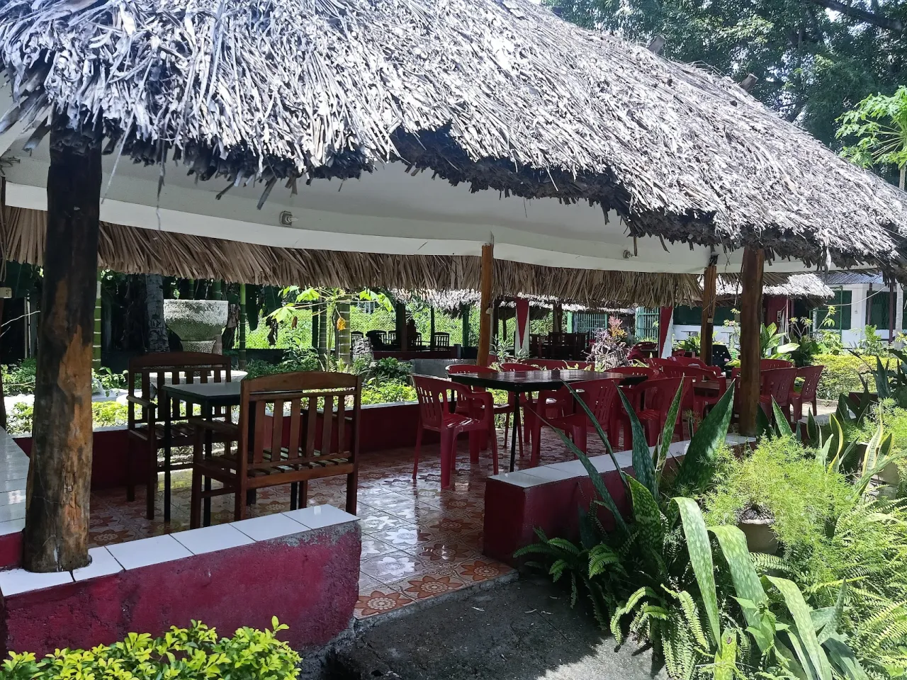 Dominican Café