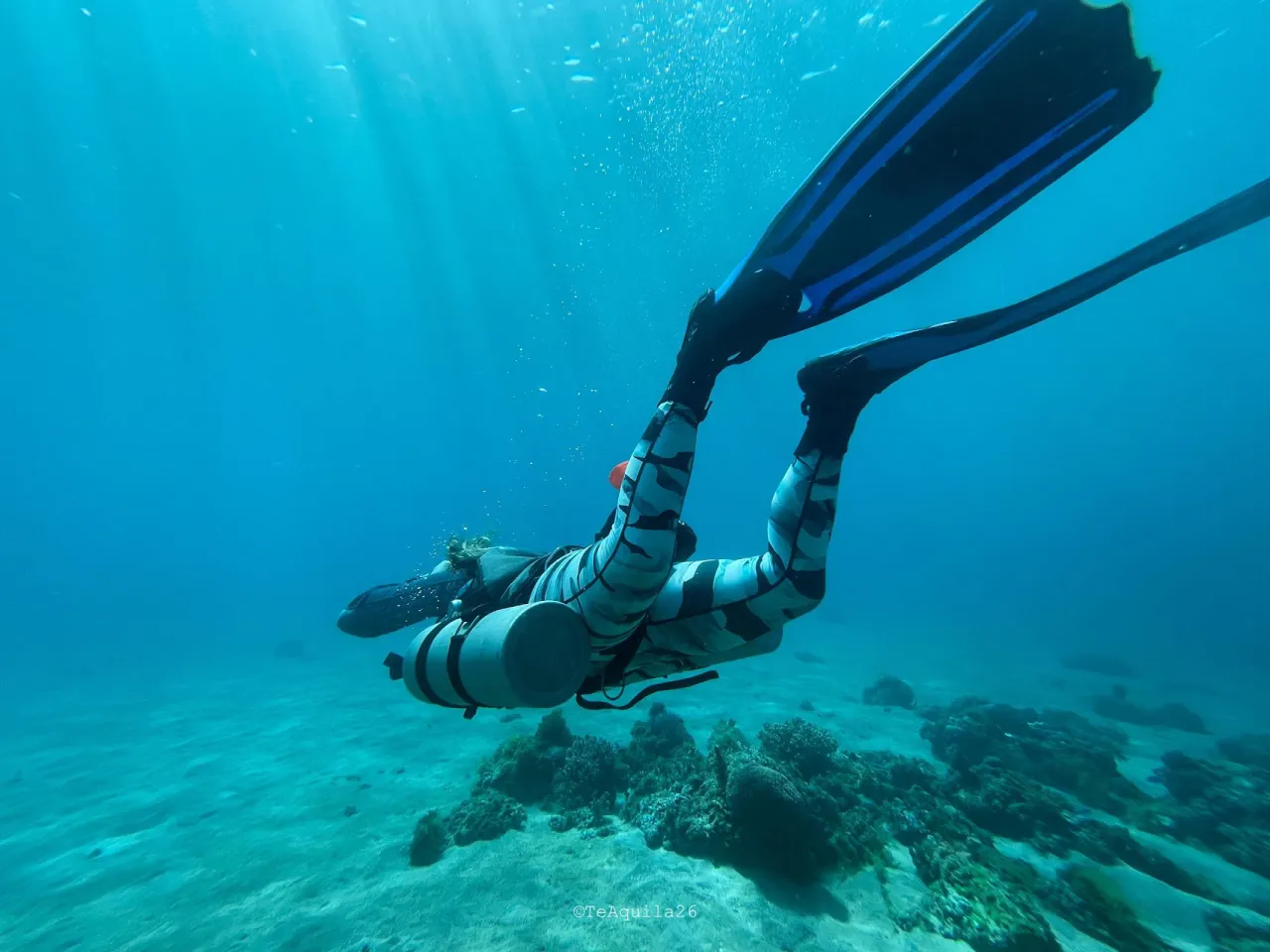 Dreamers Dive Academy