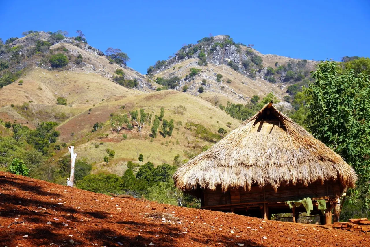 Eco Discovery Tours
