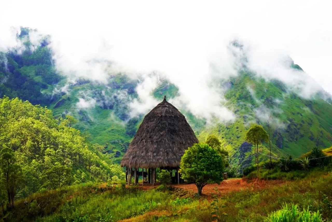 Eco Discovery Tours