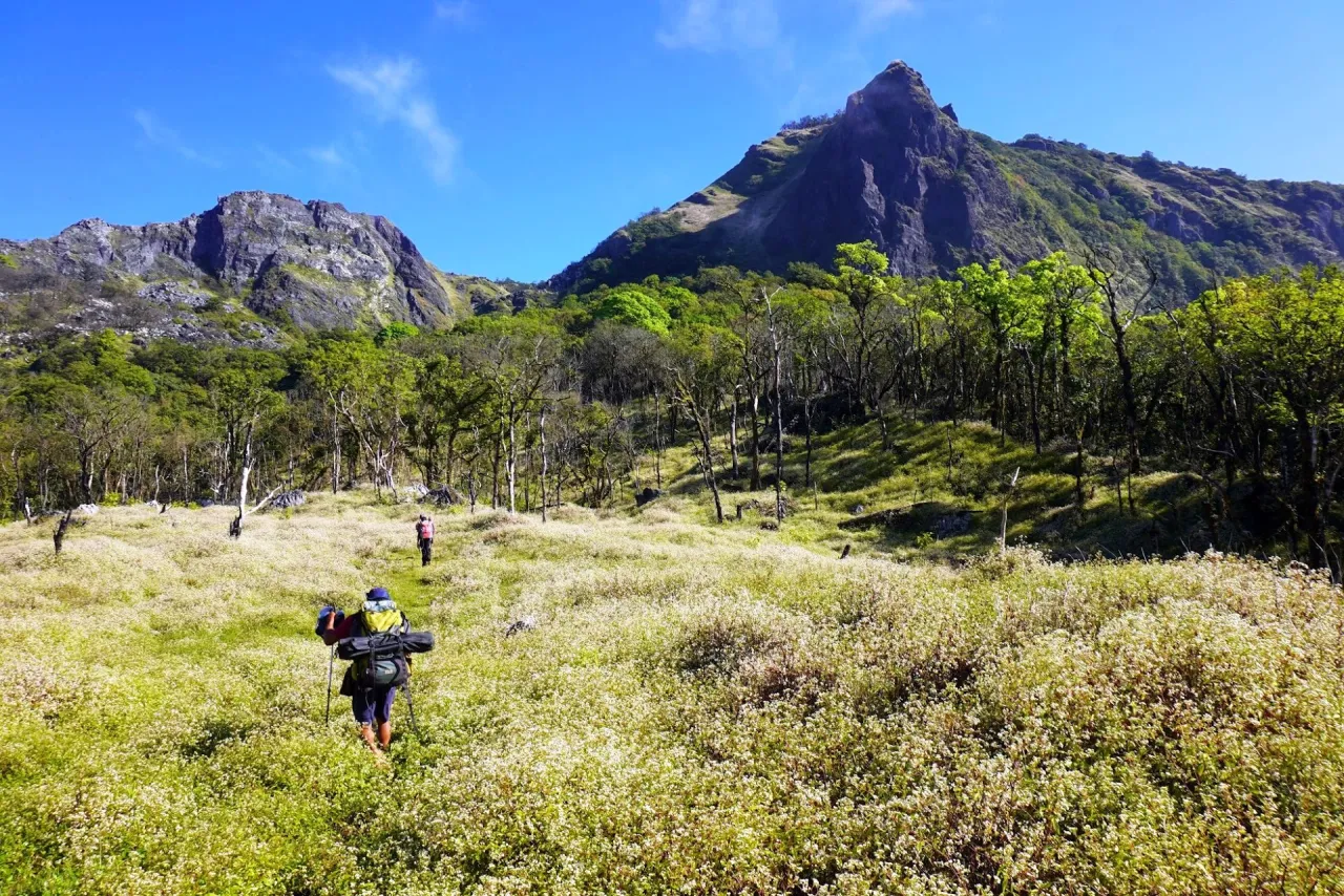 Eco Discovery Tours