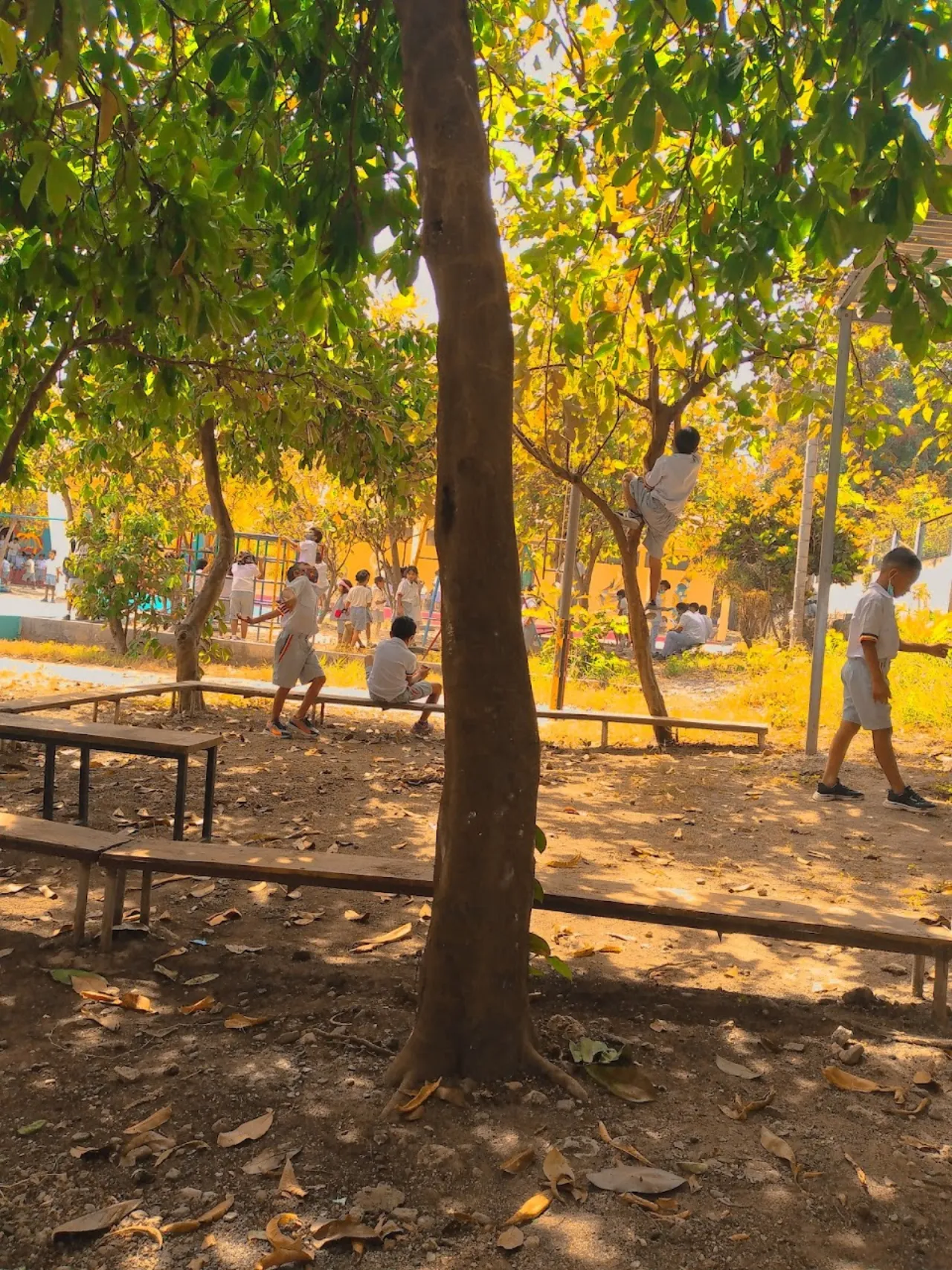 Escola CAFE Baucau
