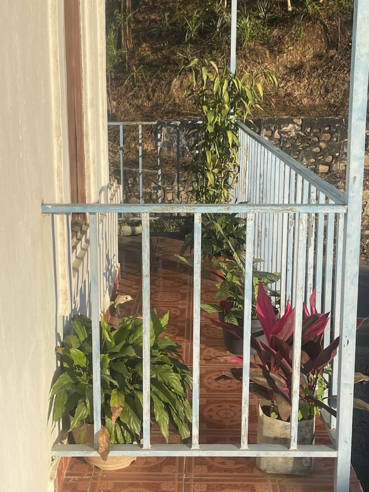 Girasol Guesthouse