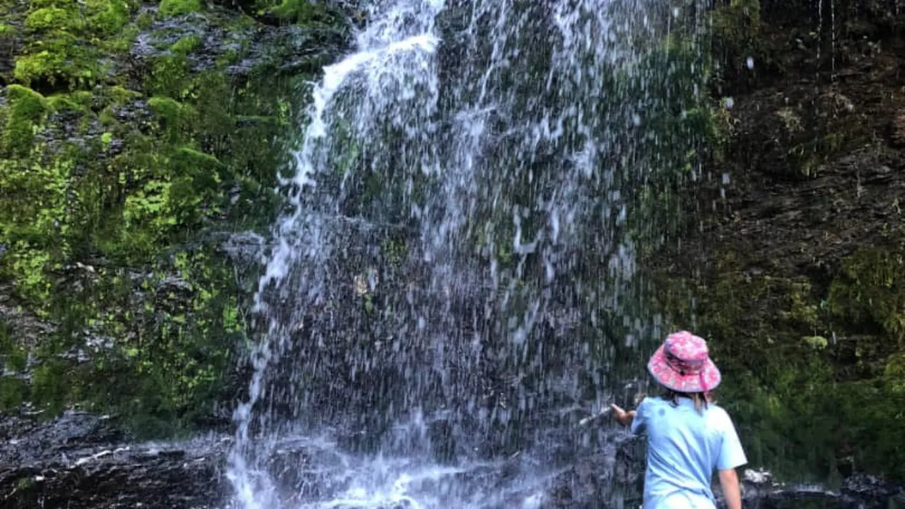 Golden Compass Tours & Travel