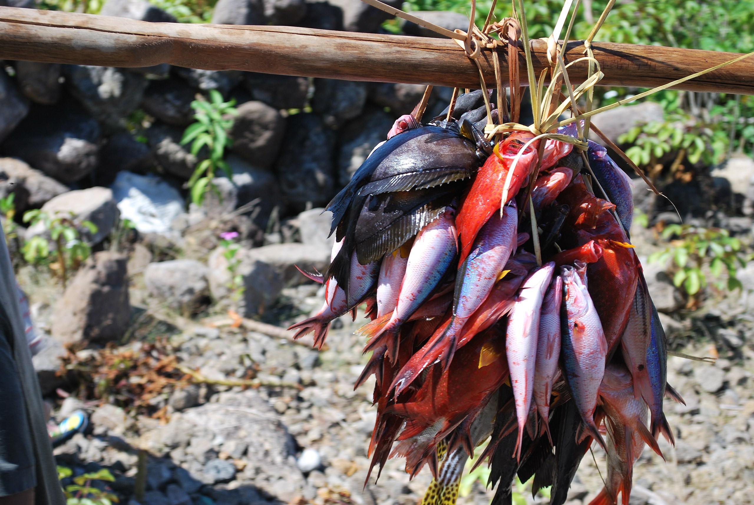 Hatulela Local Food