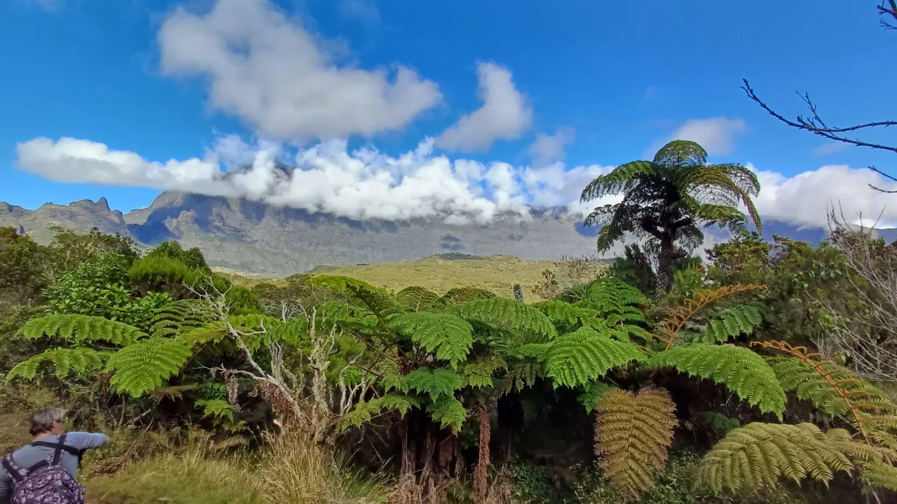 Moby Wildlife Tours