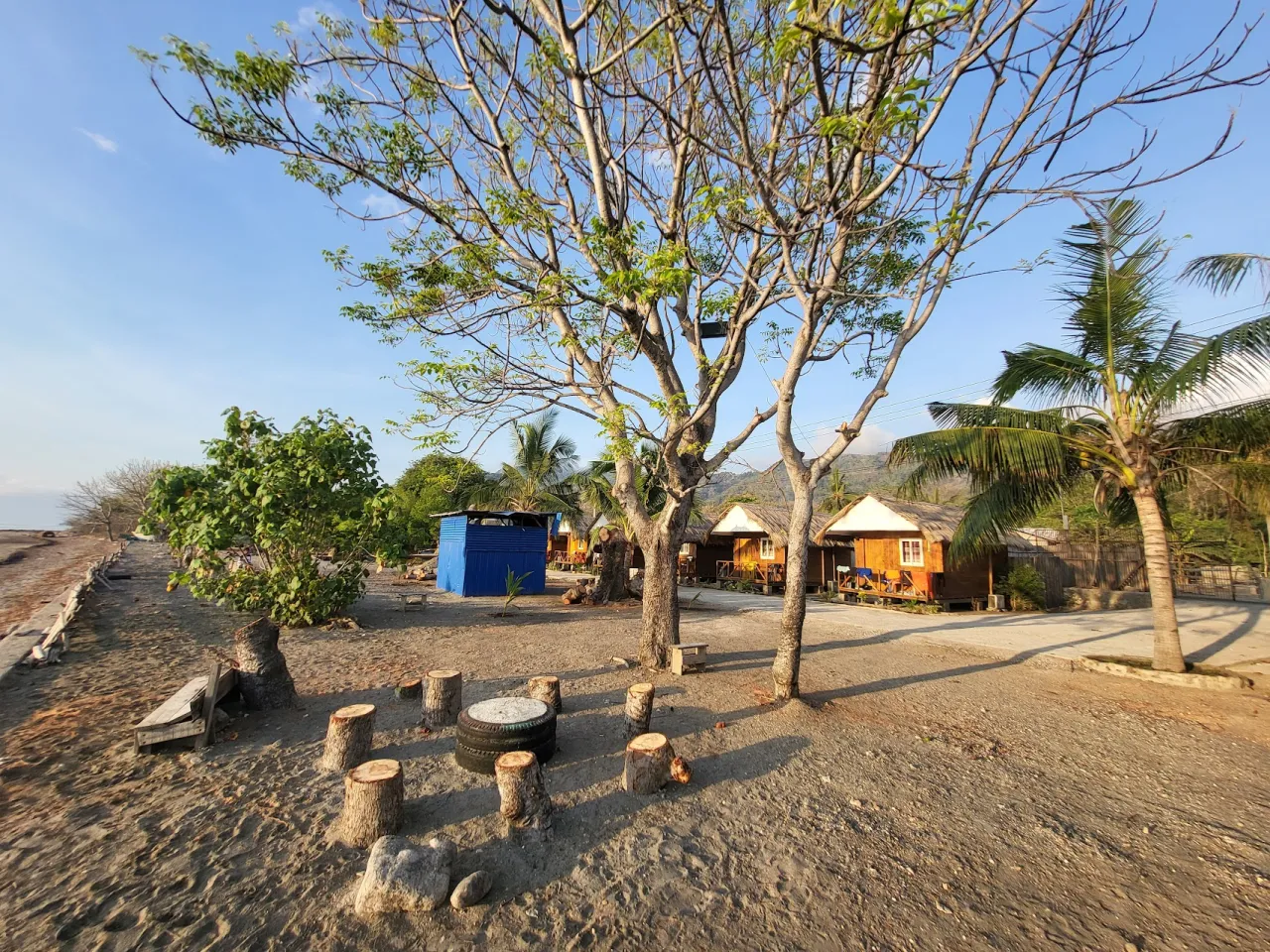 PAGIMAMI DIMETRIO