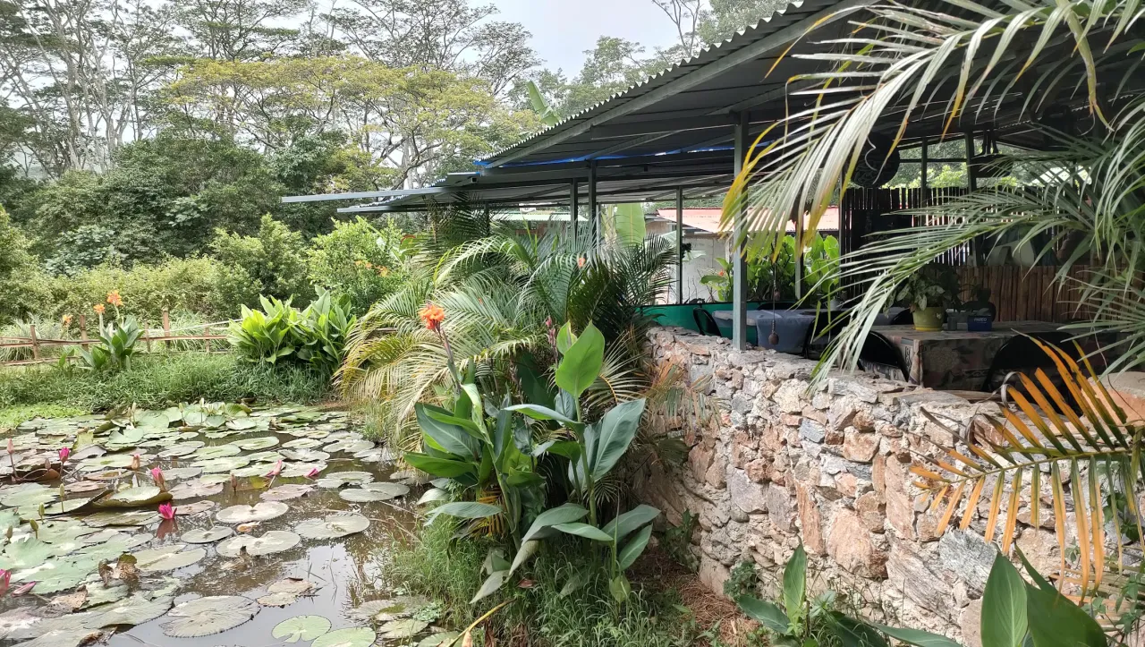 Posada Txiriboga – Dili Vanilli Farmstay
