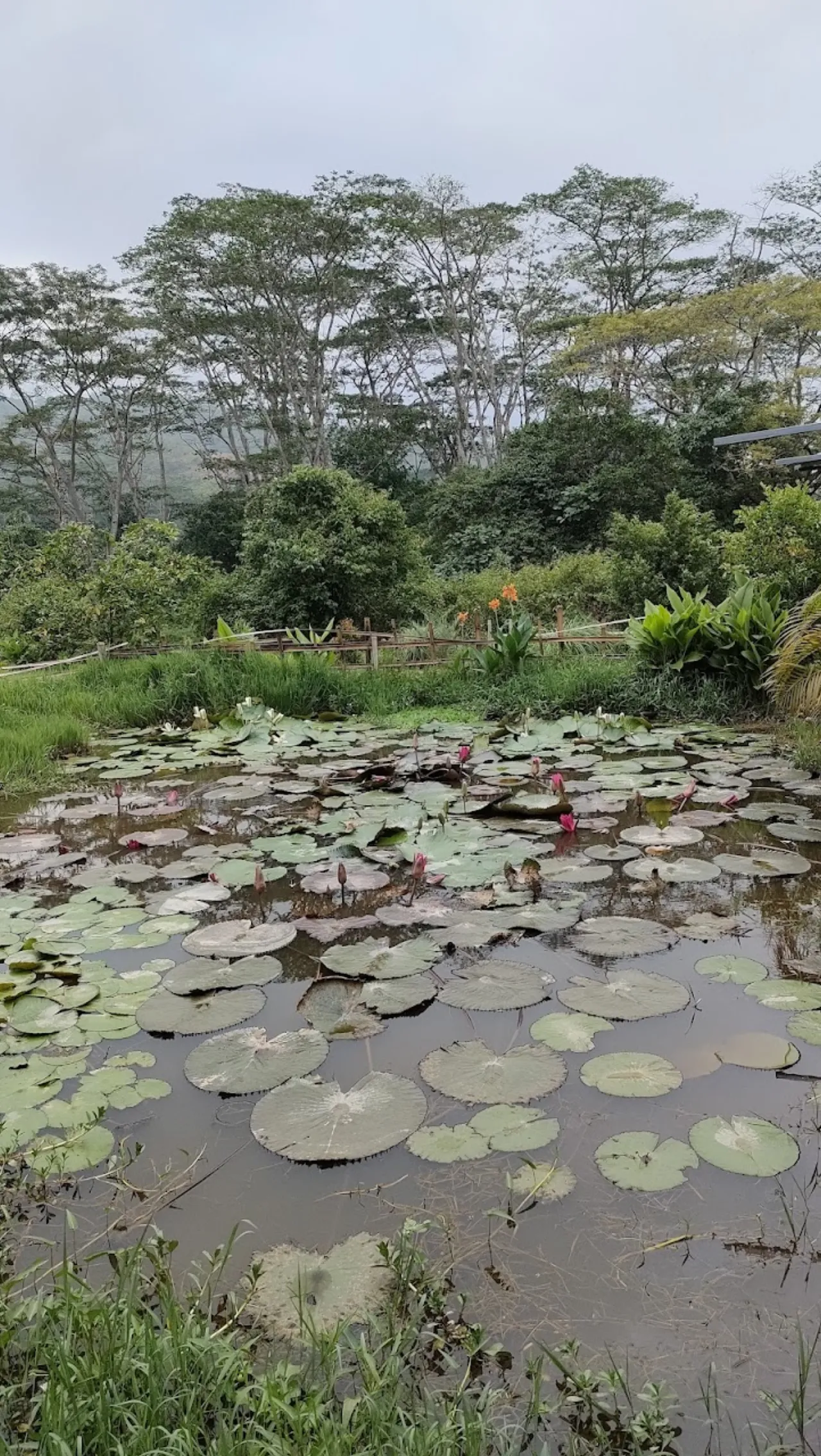 Posada Txiriboga – Dili Vanilli Farmstay