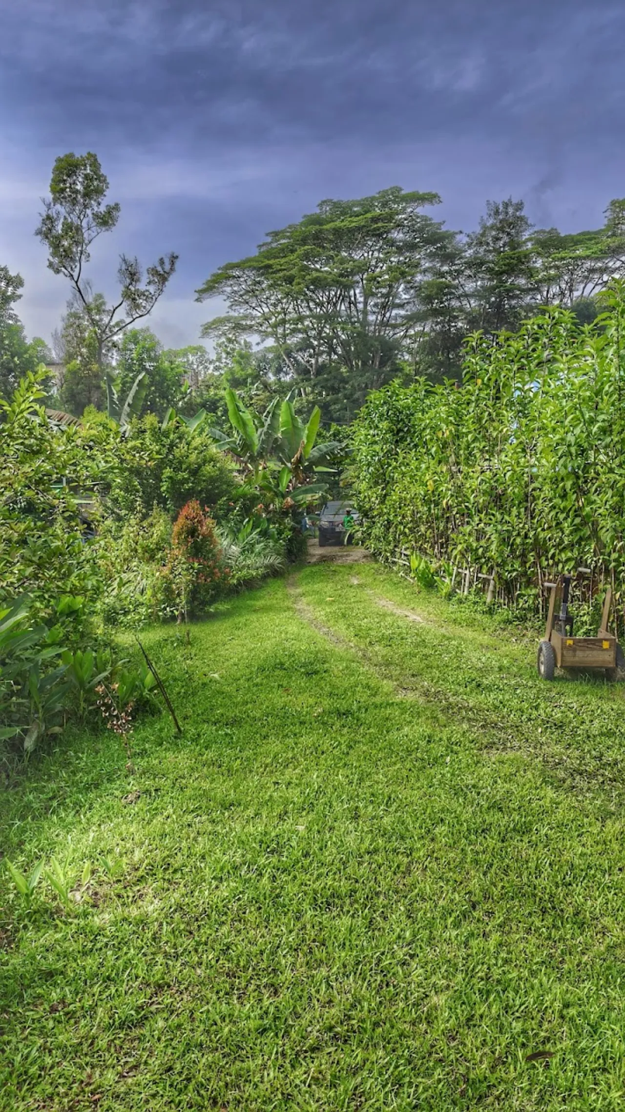 Posada Txiriboga – Dili Vanilli Farmstay