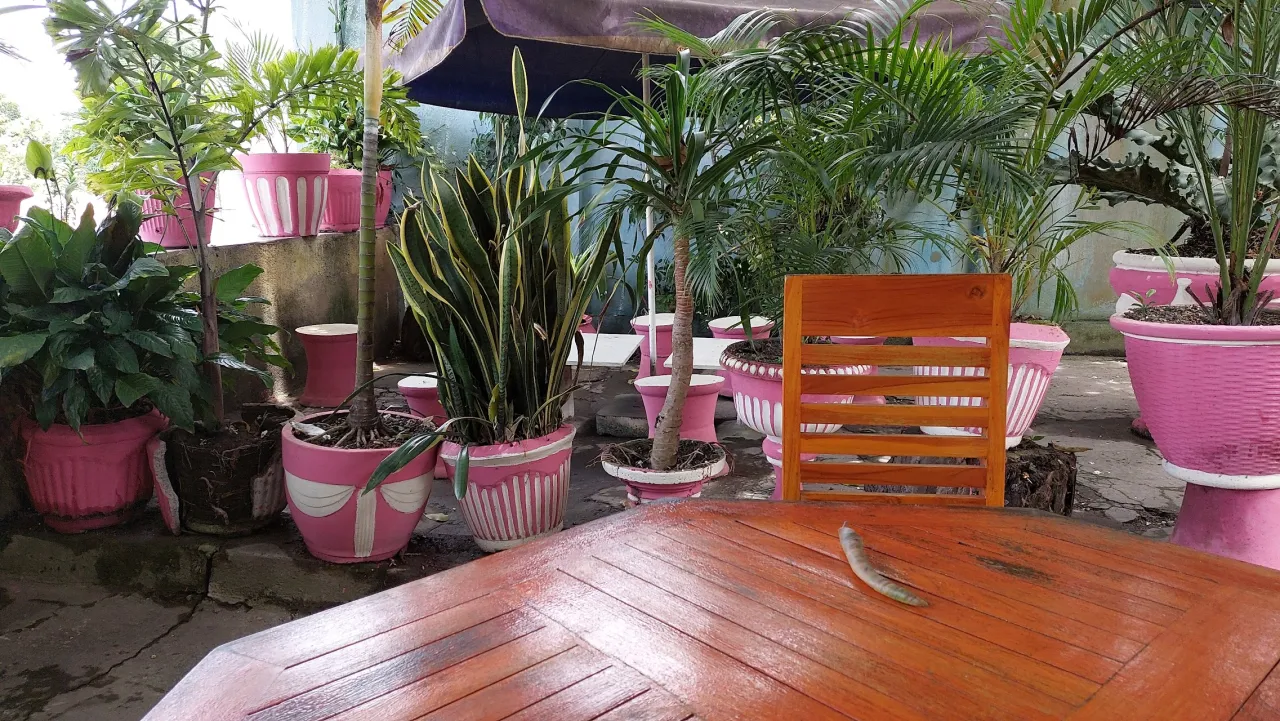 Restaurante Amalia
