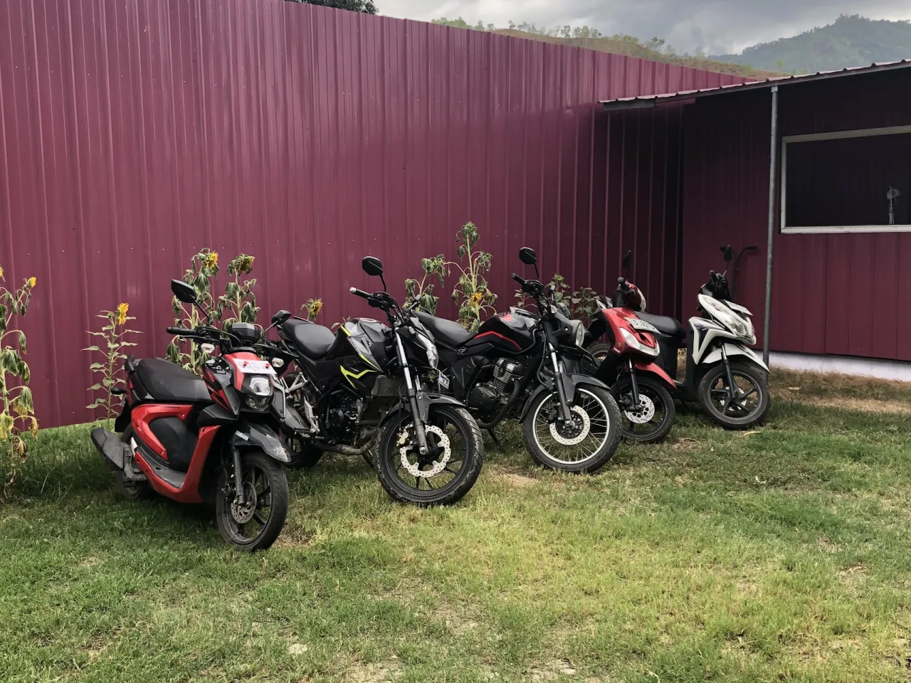 Streets of Timor Motorbike & Car Rental