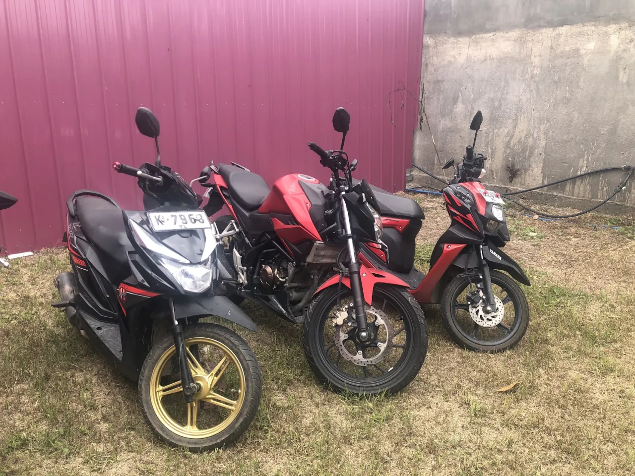 Streets of Timor Motorbike & Car Rental