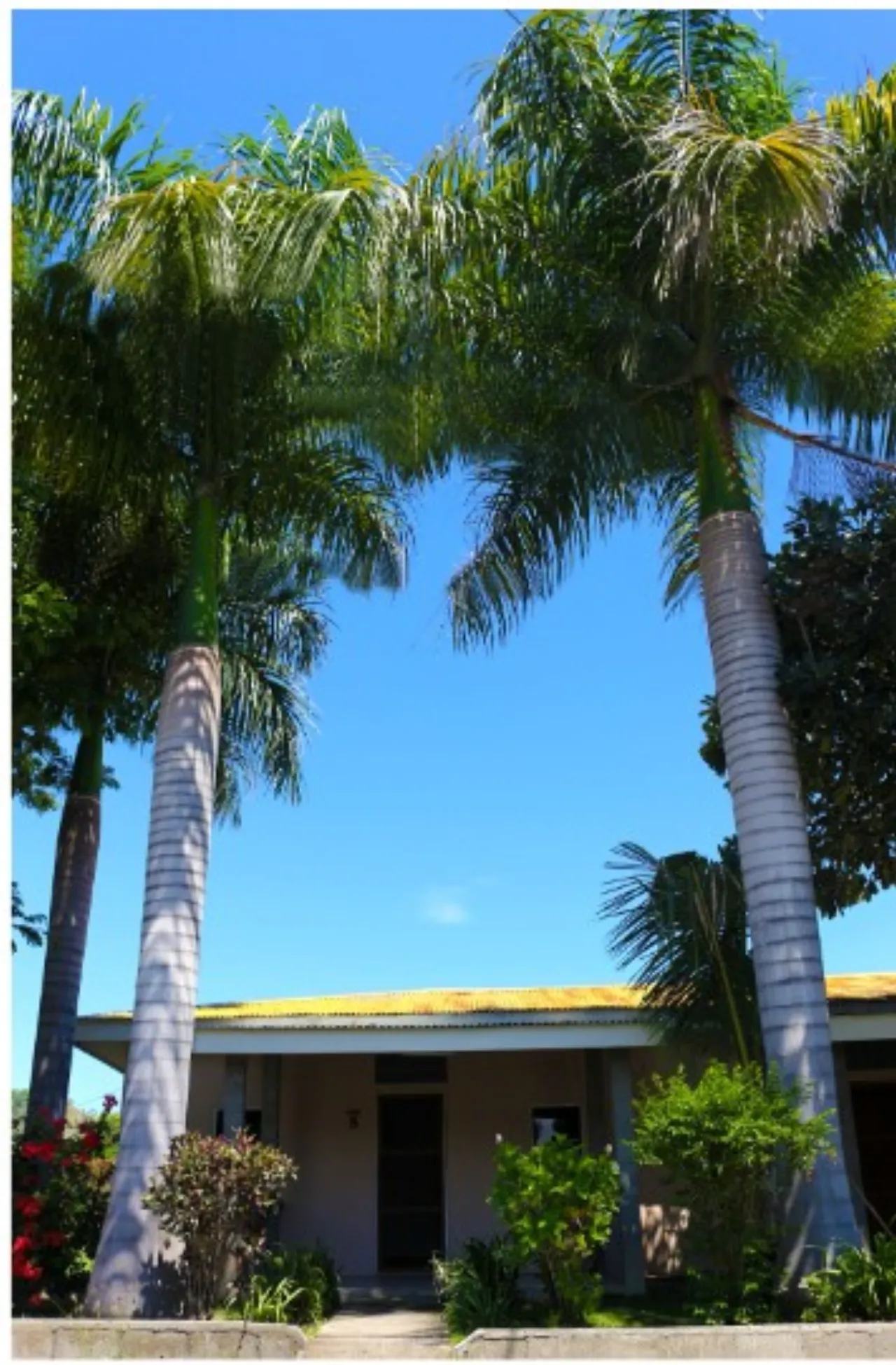 Timor Lodge Hotel & Residence