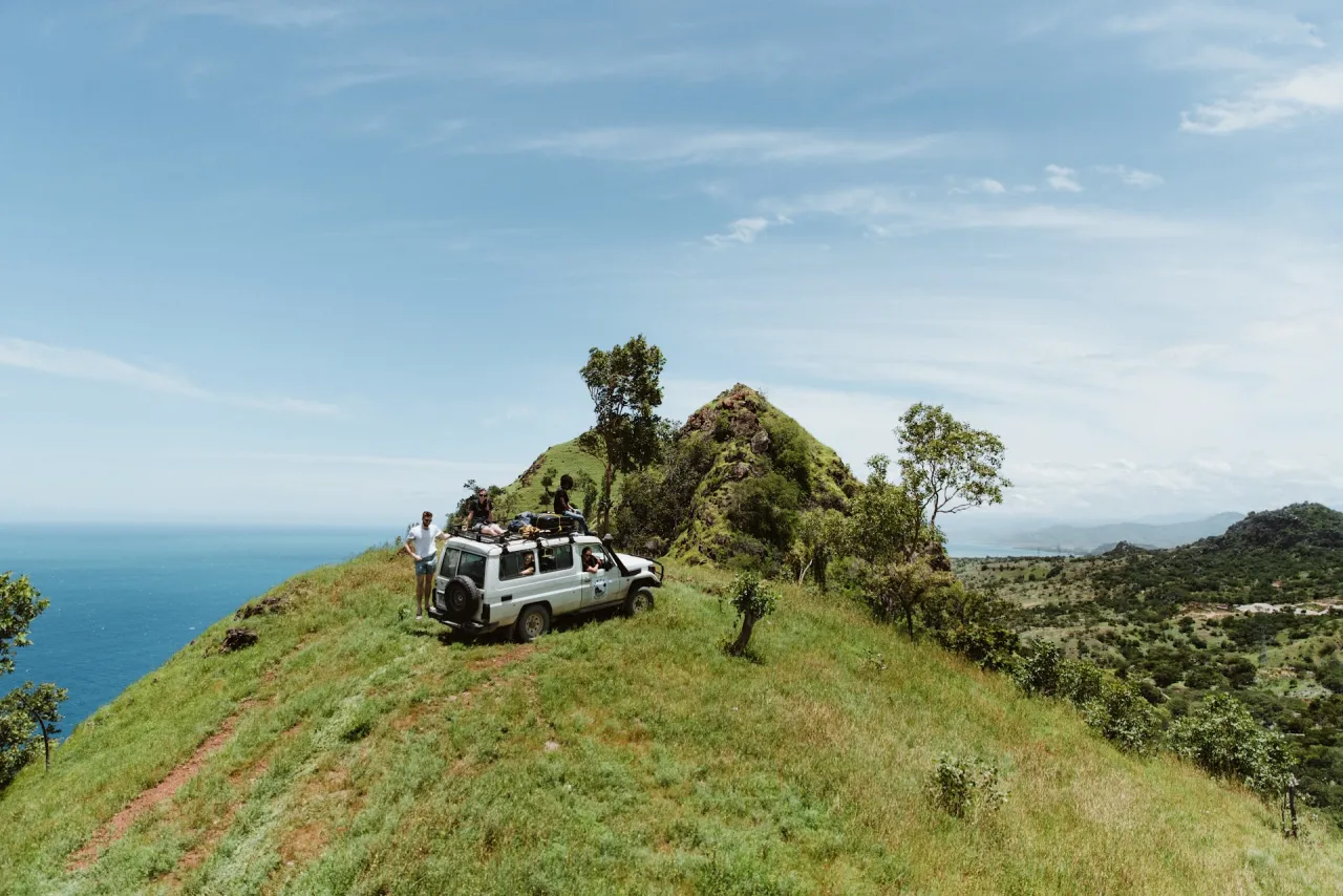 Timor Unearthed