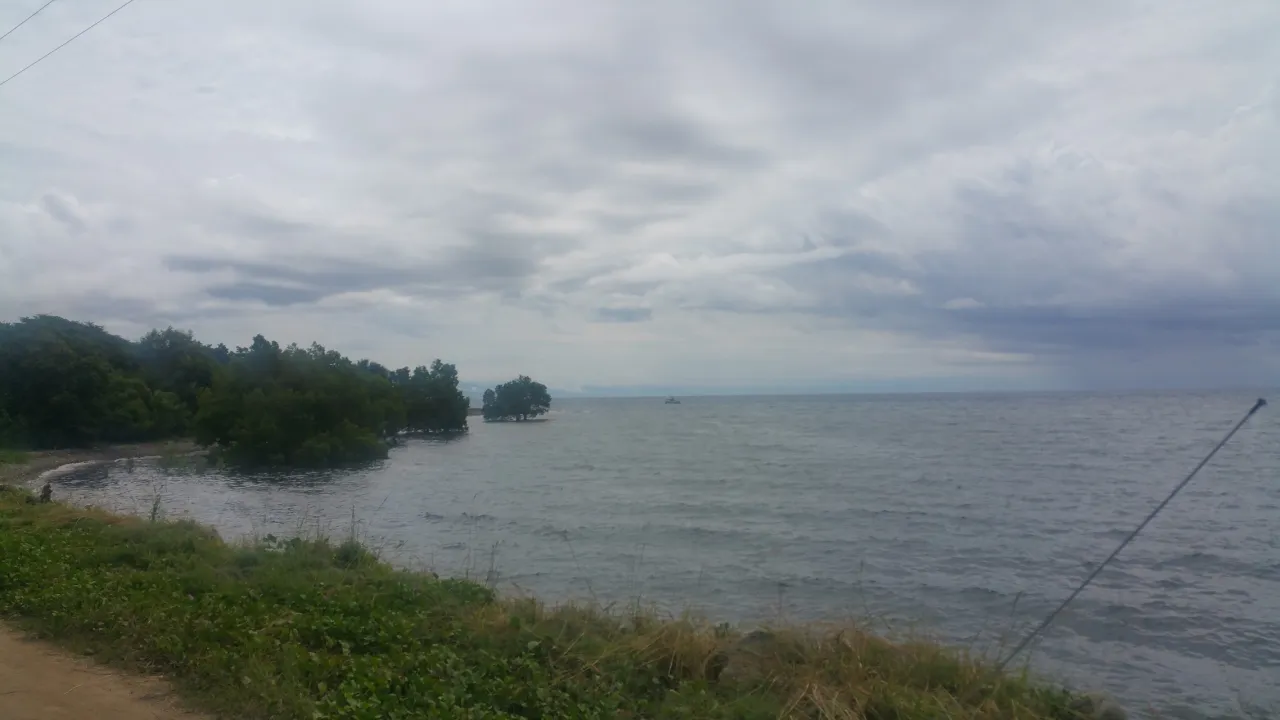 Tua Koin