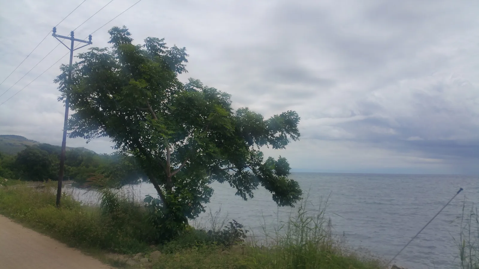 Tua Koin