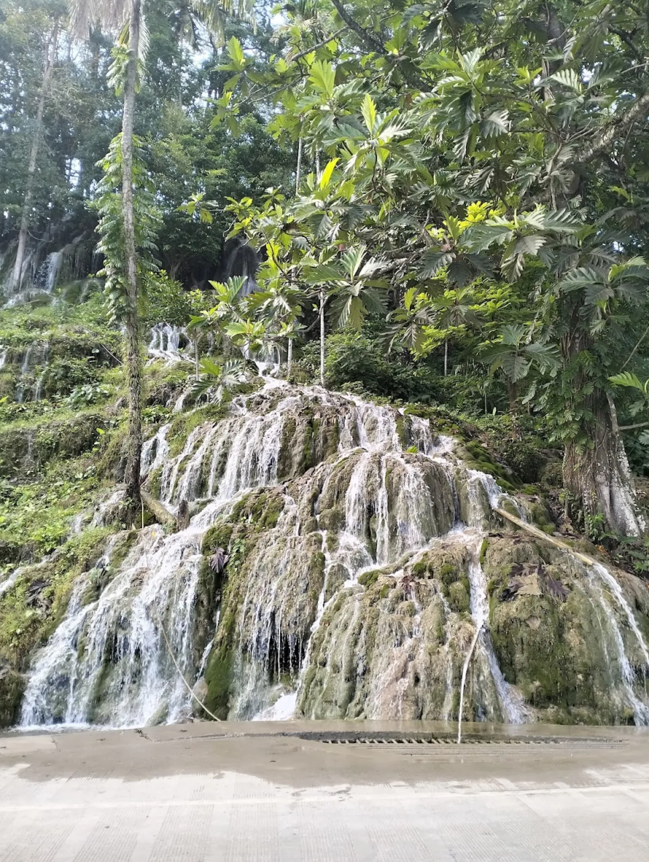 Viqueque ossu